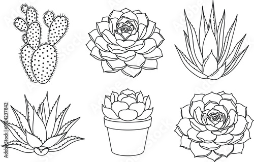 Minimalist black and white succulent and cactus line art collection featuring echeveria agave and prickly pear designs in hand drawn style for coloring pages stickers and botanical decor.