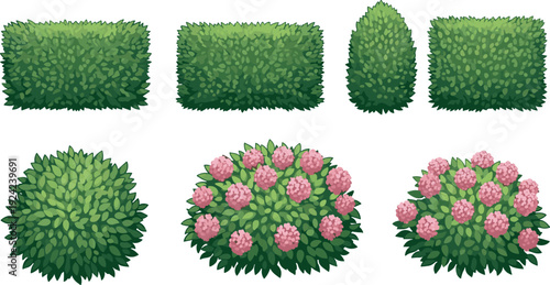 Bushes and shrubs collection, green hedges rounded foliage, pink flower clusters, landscaping garden design, decorative plant illustration concept