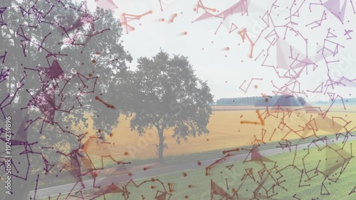 Nodes overlay starting at edges, growing inward upward over main tree and field, showing network