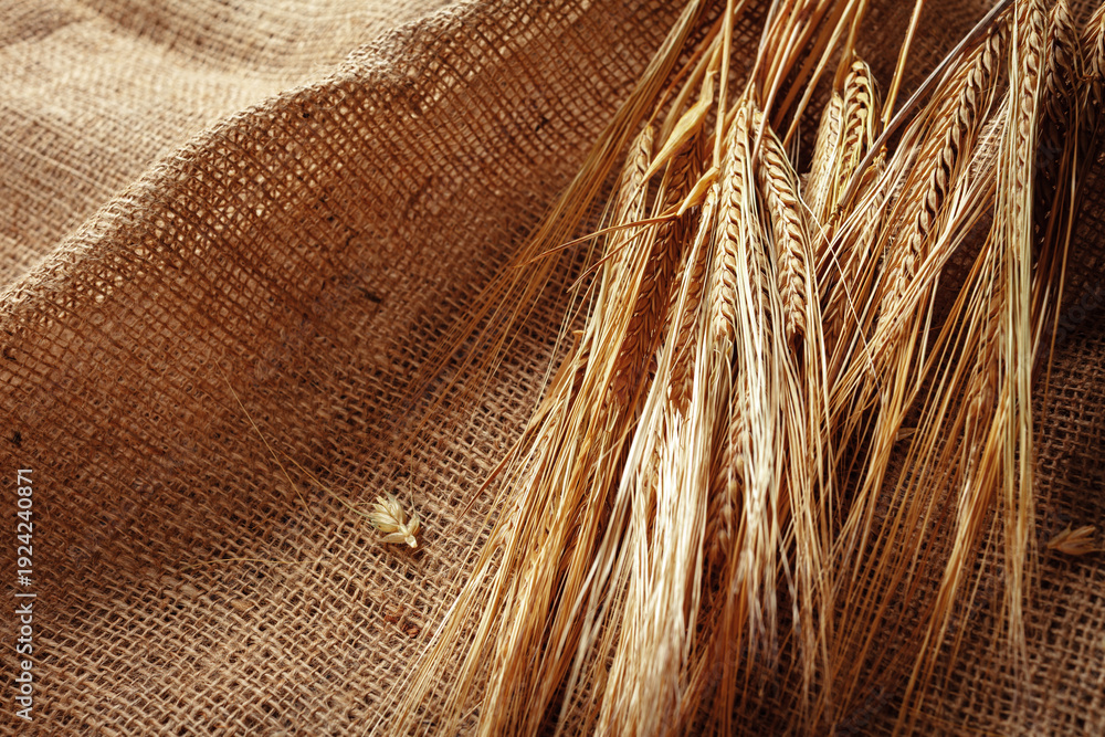 Fototapeta premium Wheat stalks on burlap fabric in a rustic setting during daylight hours