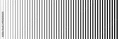 Line pattern. Vertical straight background. Black abstract texture with parallel lines from thick to thin. Vertical straight stripes. Digital velocity lines on screen. Vector ilustration