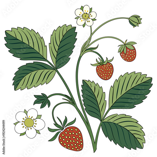 A cross-stitch pattern of a strawberry plant with ripe fruit and flowers