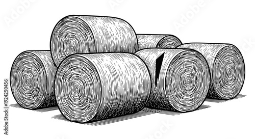 Stacked hay bales in rural field farm harvest scene rendered in traditional hand drawn cross hatching technique