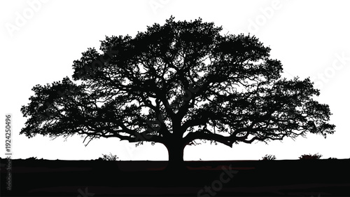 Detailed Vector Illustration of a Wide Spreading Old Tree on a Flat Horizon