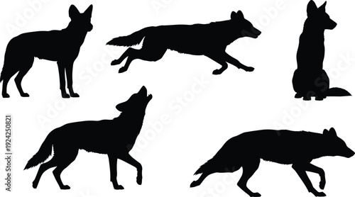 Siluetas vectoriales de Dhole perro salvaje asi�tico 6 poses hoja �nica fondo blanco