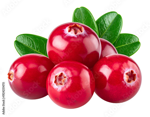 Wallpaper Mural Vibrant red berries with fresh green leaves, a close-up, isolated fruit assortment Torontodigital.ca