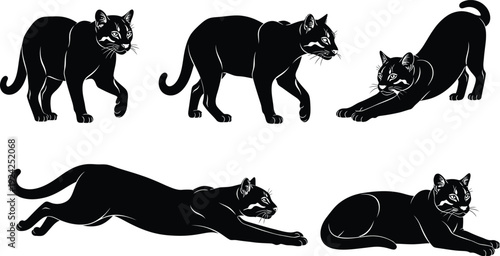 Siluetas de Gato Dorado Asiático en 5 poses estilo vector minimalista