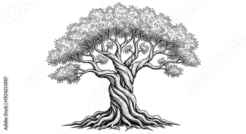 Ancient twisted tree with lush foliage and strong roots on white background