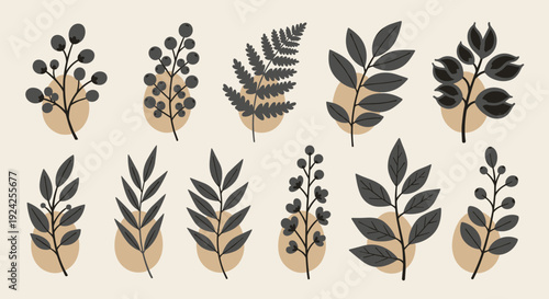 A collection of various leaves and botanical elements in a minimalist vector style with earthy tones, perfect for nature-themed projects