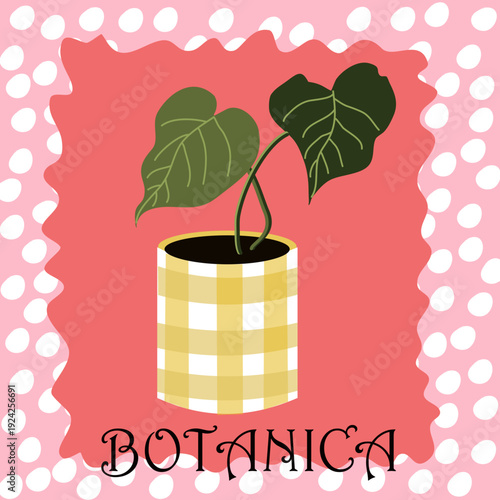 Pianta tropicale Monstera in vaso giallo su sfondo rosa