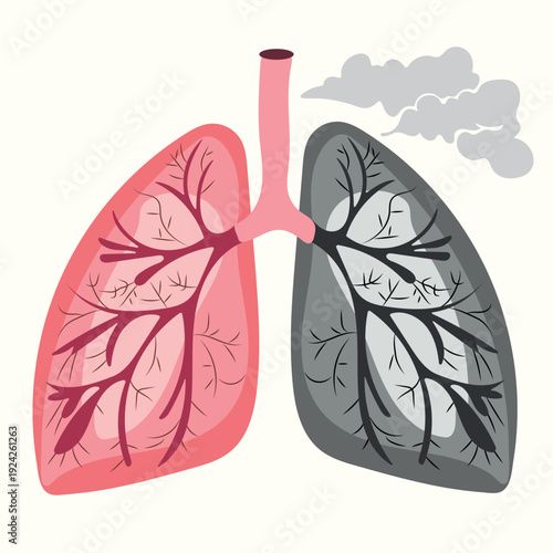 Healthy and damaged lungs comparison with smoking pollution concept