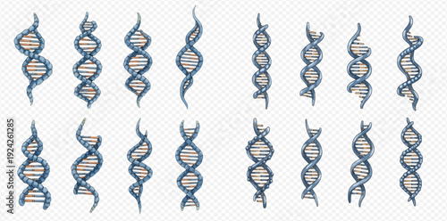 A collection of hand-drawn DNA double helix illustrations showing various genetic structures for scientific concepts.