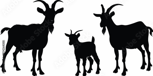 Silhouette of a family of goats including a young kid