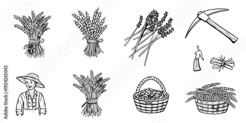 Vintage botanical illustration featuring lavender wheat tools and a farmer