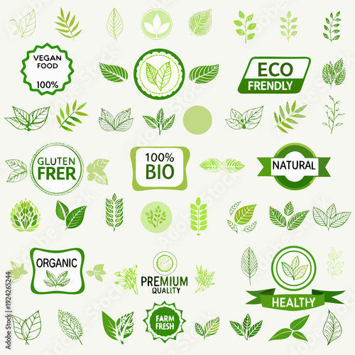 Variety of green leaves and eco friendly organic food labels