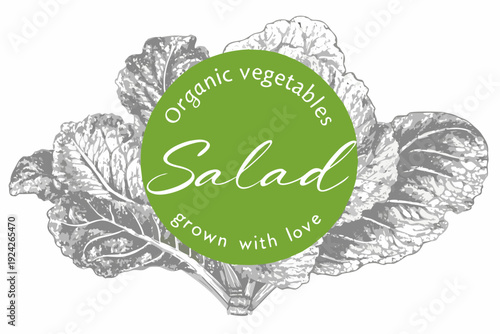 Vintage style illustration of salad greens with a circular text design