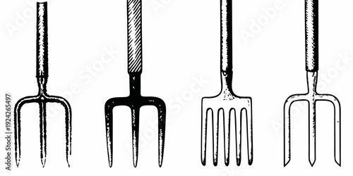 Vintage illustration displaying four different types of garden forks