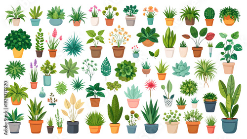 set of flowers, leaves and plants vector illustration
