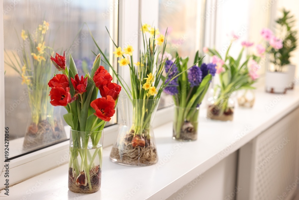 Obraz premium Beautiful spring flowers in vases on windowsill indoors, closeup