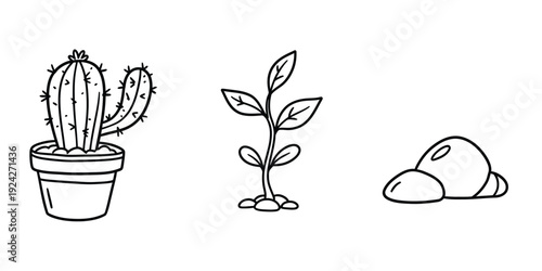 Line drawing of cactus plant in pot and young sprouting plant and stones  plants with thorns and leaves