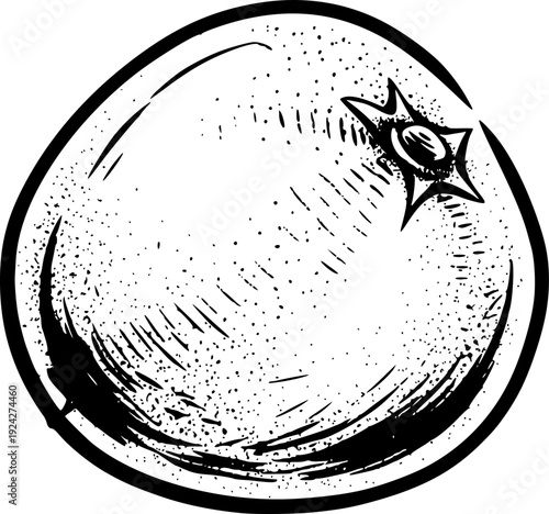 Sapodilla Fruit Illustration with Sumi-e Style Brush Strokes in
