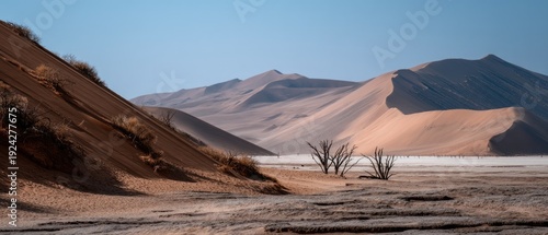 Panel kuchenny z motywem Sossusvlei in Namibia shows dry land with dead trees and high dunes under a clear sky during the day in the African desert landscape