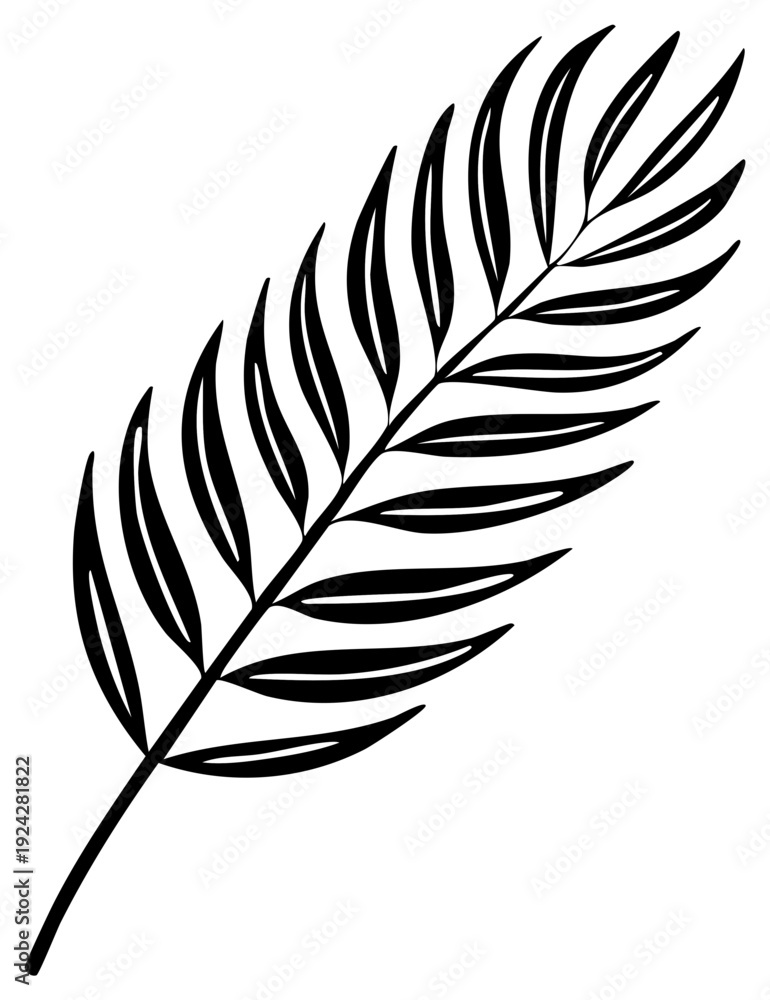 Fototapeta premium Simple Outline Drawing of a Palm Frond Leaf Silhouette Elegant Tropical Plant Element