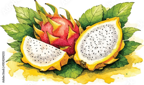 Ripe Dragon Fruit Whole and Halved Watercolor Tropical Illustration