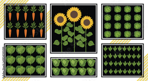 Top View Garden Patch Vector Set with Carrots Sunflowers Cabbage and Leafy Greens for Agriculture Organic Farming and Home Gardening Landscape Design Illustrations