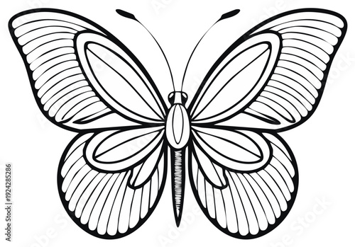 Outline of a butterfly design for coloring or creative projects