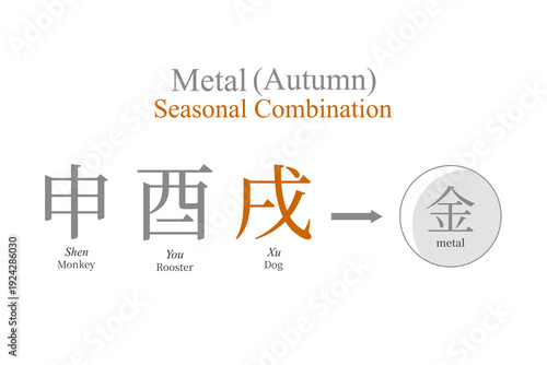 Metal, seasonal combination, feng shui, ba zi, vector illustration, autumn, four pillars of destiny, tcm, chinese zodiac, horoscope