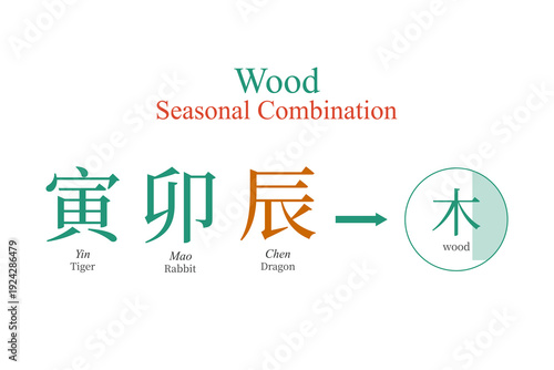 Wood, seasonal combination, feng shui, ba zi, spring, vector illustration, four pillars of destiny, chinese zodiac, tcm, horoscope