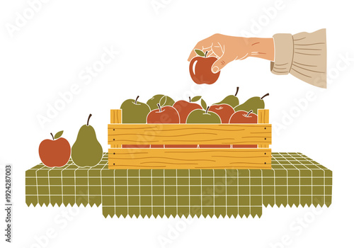 A wooden crate filled with apples and pears. A hand places a fresh apple in the crate. Rural, farming flat vector illustration.