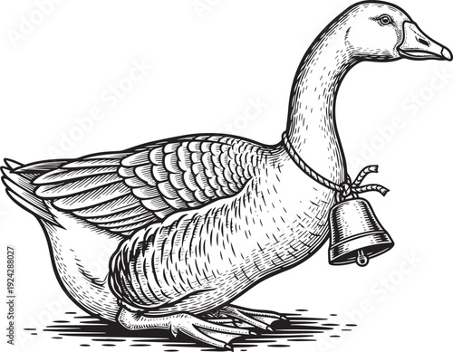 Vintage Style Engraving of a Goose with Bell: Farm Animal Illust