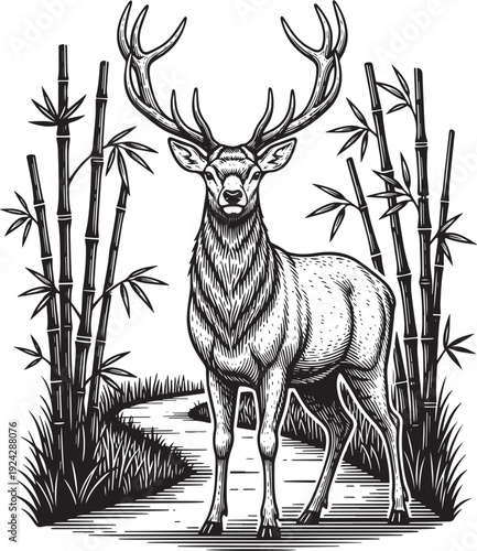 Woodcut Illustration of a Majestic Deer Amidst Bamboo Thicket La
