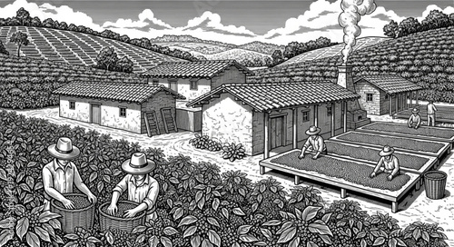 rural landscape with vineyard