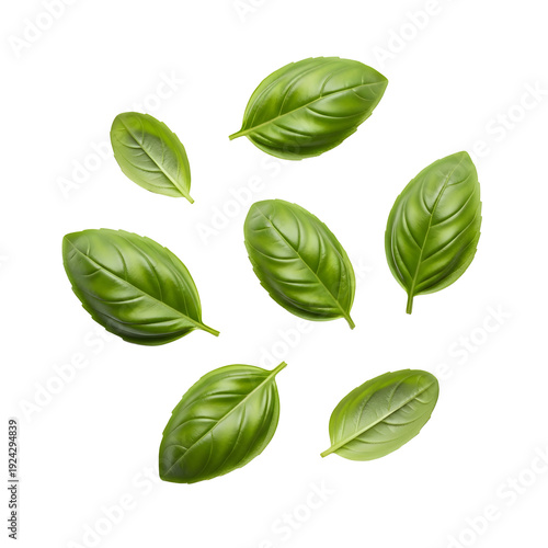 A collection of green leaves on transparent background