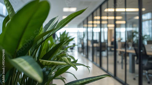 Stunning photo of a modern office space with a blurred background, featuring lush green plants with vibrant leaves and sleek glass partitions that reflect the soft, natural light pouring in