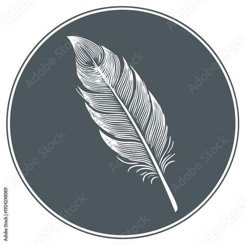 Elegant Feather Illustration in Circle Frame, Engraved Style, Decorative Element