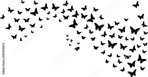 Butterfly silhouettes illustration with flying swarm motion, transformation, freedom, natural beauty, dynamic curved flow concept, black and white artwork design