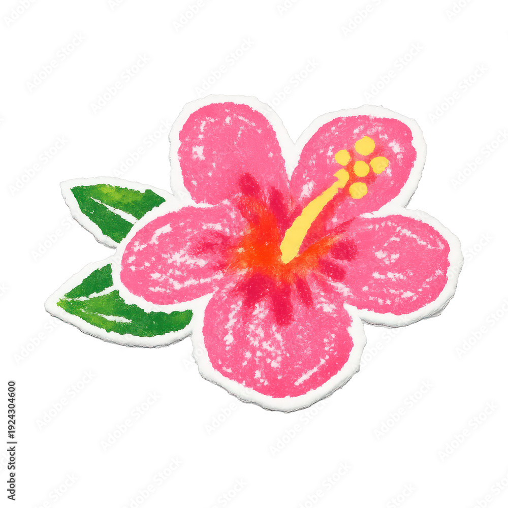 Naklejka premium PNG Vibrant tropical hibiscus illustration.