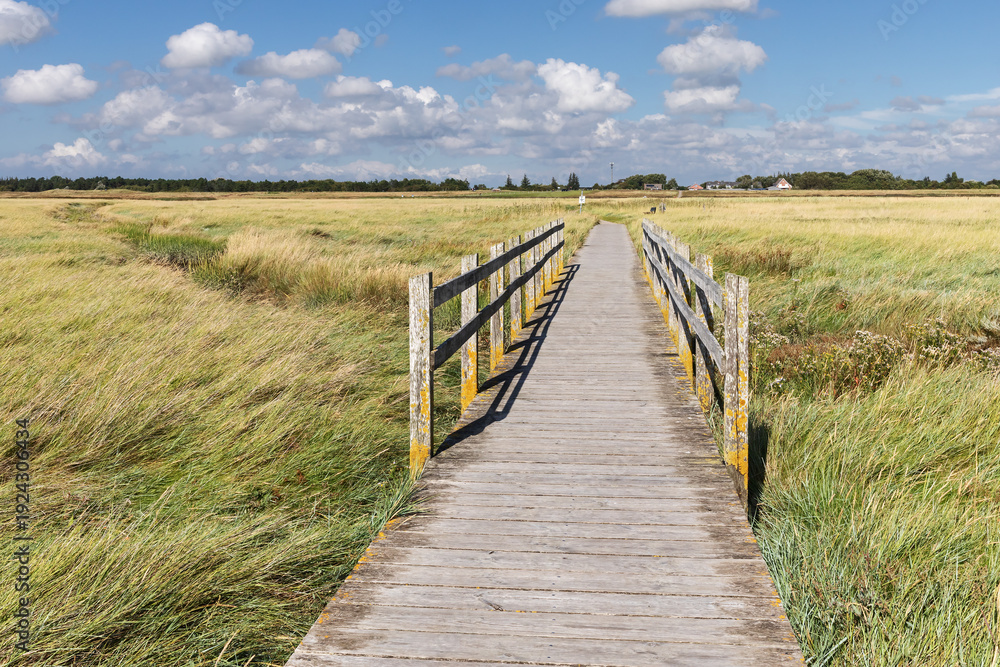 Fototapeta premium Holzweg durch Salzwiesen mit Brücke über einen Priel bei Sankt Peter-Ording in Nordfriesland, Schleswig-Holstein, Deutschland.
