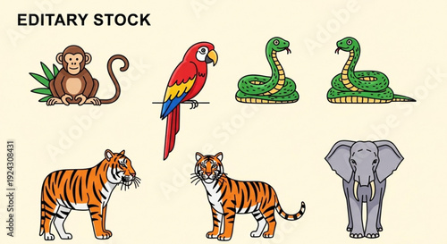 Collection of colorful jungle animals monkey parrot snakes tigers elephant illustrations