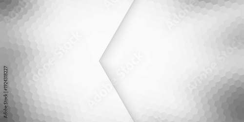 Minimalist and Modern Future Hexagon Abstract Geometric White and Gray Color Polygon Background Design Illustration