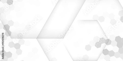 White and gray hexagon geometric pattern background. Monochrome color scheme background. 3d geometric pattern. Modern minimalist aesthetic pattern. Colorful gradient mosaic vector backdrop.