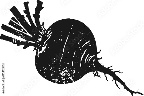 Black silhouette of root vegetable beet with leaves fresh garden beetroot illustration