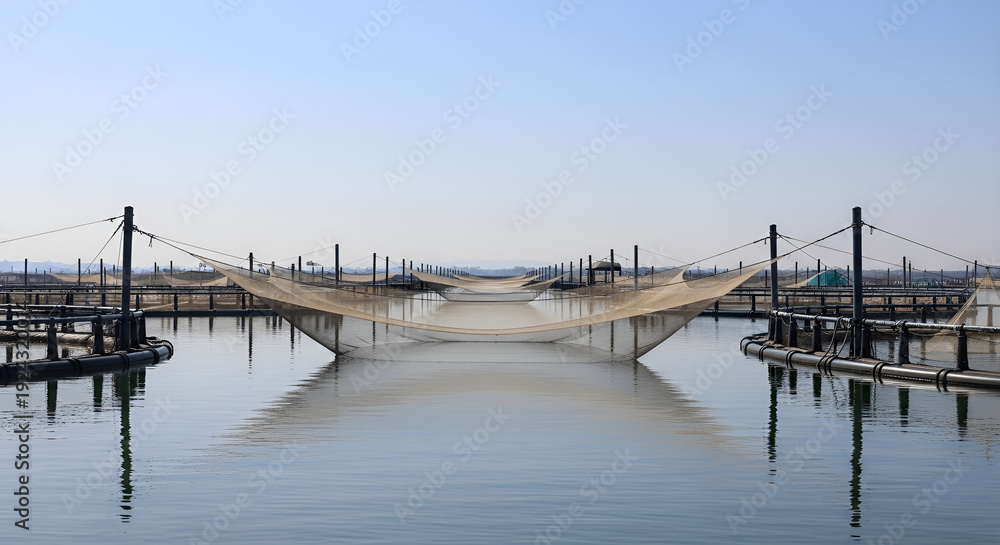 Obraz premium Fishing nets suspended over calm water on a serene dock with wooden structures under a clear blue sky
