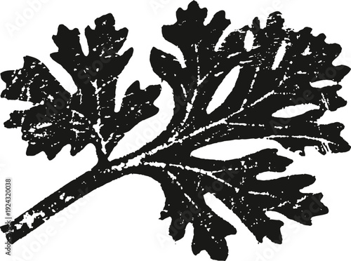 Black and white illustration of a leafy kale vegetable with detailed textured edges