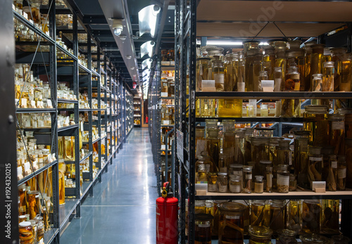 Extensive collection of biological specimens preserved in fluid-filled jars, organized on shelves in a scientific storage facility