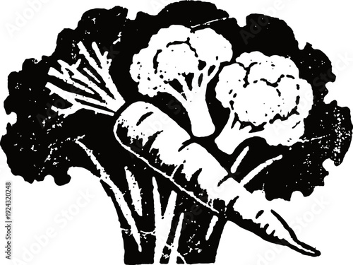 Black and white illustration of broccoli, cauliflower, and carrot vegetables in vintage engraving